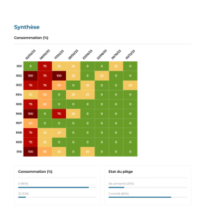 665091fc9395f461f30c3b77 exemple 2 rapport 7