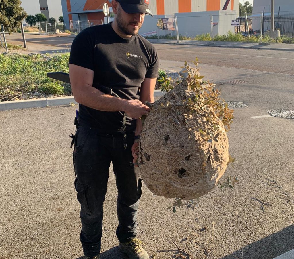 whatsapp image 2025 11 16 à 16.12.38 2f6e34ac